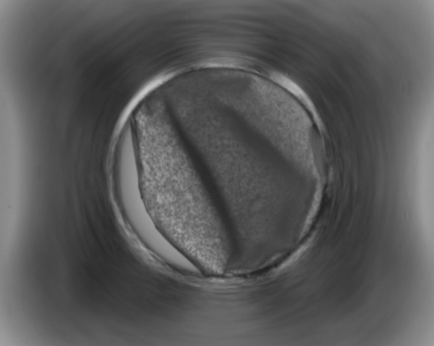 X0000083571138200703091632