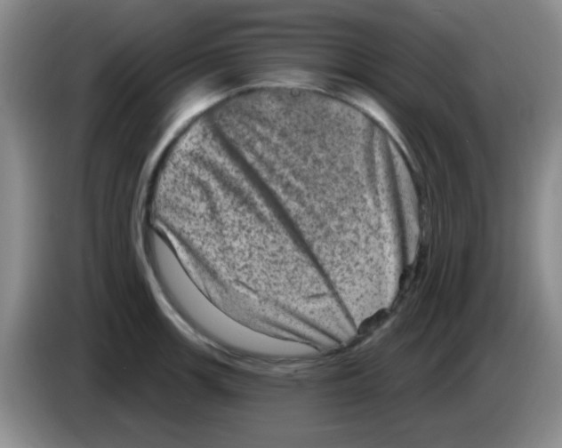X0000083571139200703091632