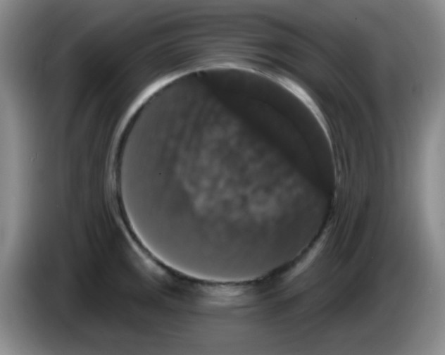X0000083571141200703091632