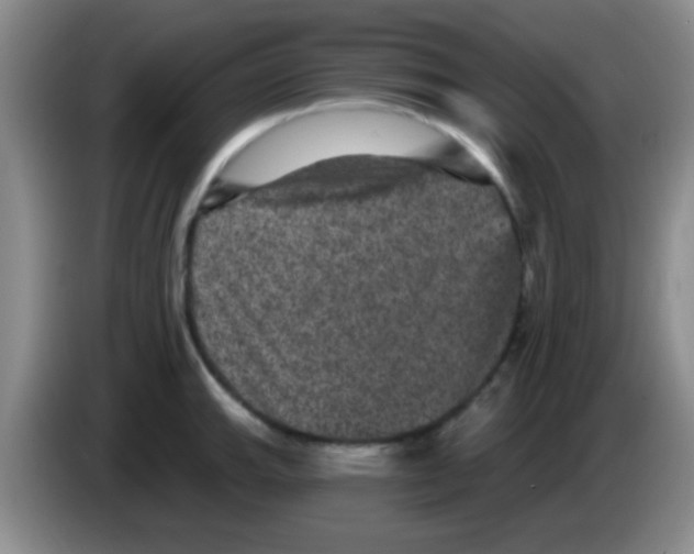 X0000083571143200703091632