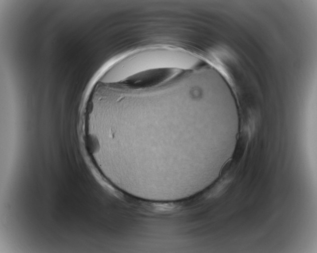 X0000083571144200703091632