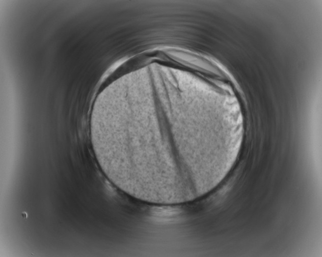 X0000083571145200703091632