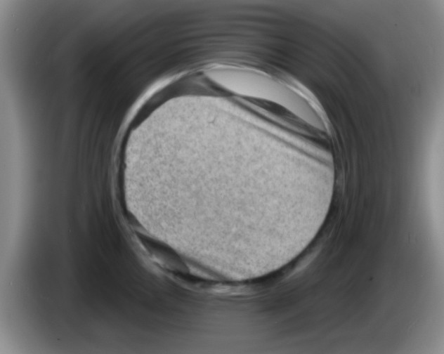 X0000083571146200703091632