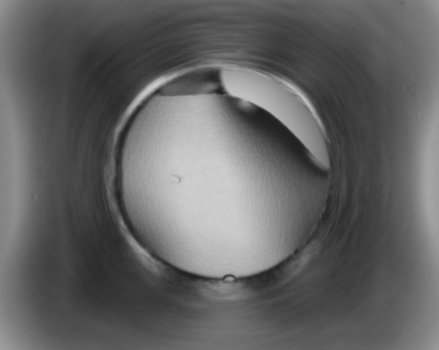 X0000083571147200703091632