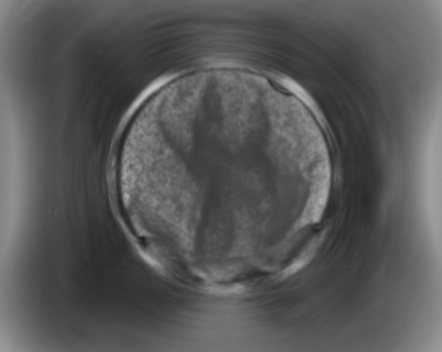 X0000083571149200703091632