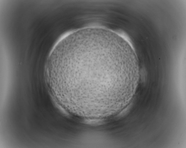 X0000083571150200703091632
