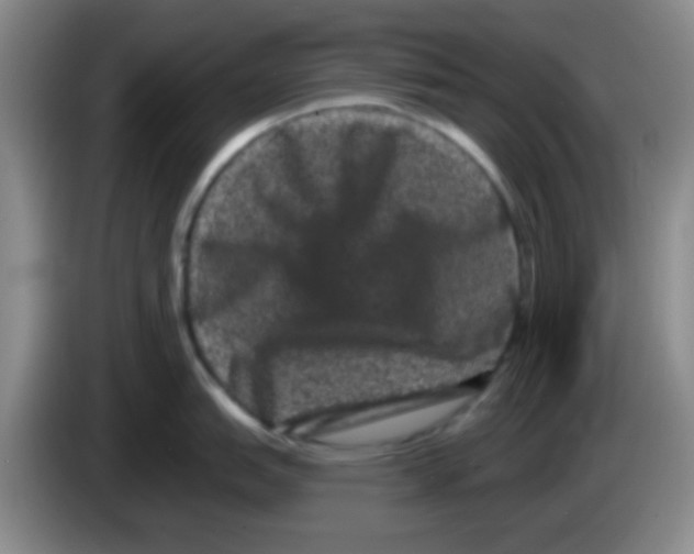 X0000083571151200703091632