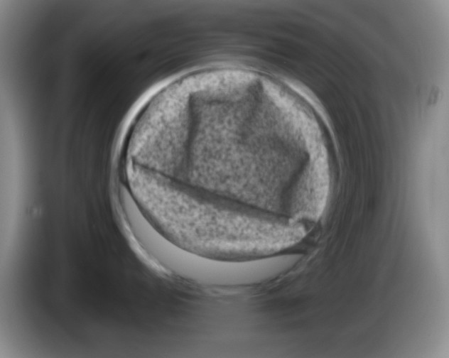 X0000083571152200703091632