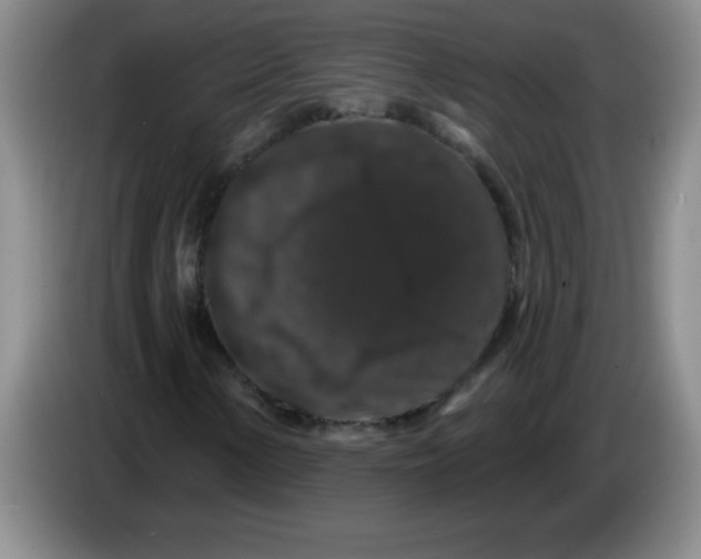 X0000083571154200703091631