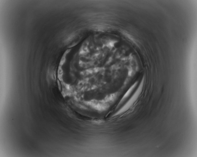 X0000083571155200703091631