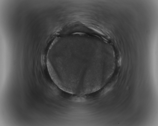 X0000083571156200703091631