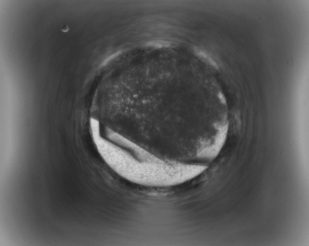 X0000083571158200703091631