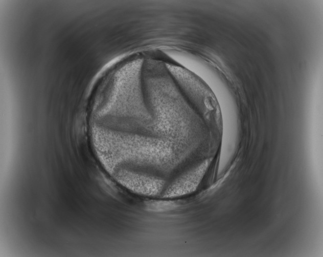 X0000083571164200703091631