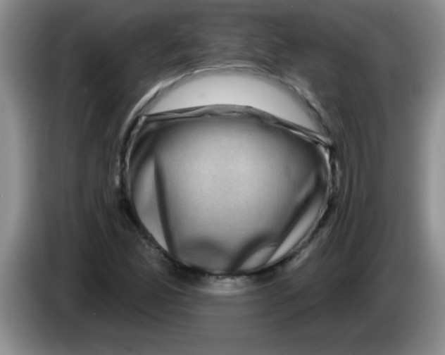 X0000083571165200703091631
