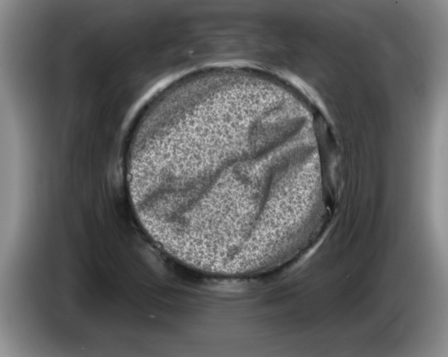 X0000083571167200703091631