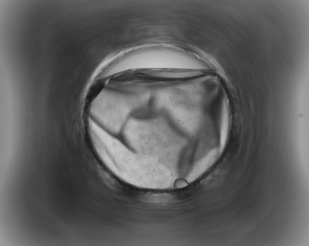 X0000083571168200703091631