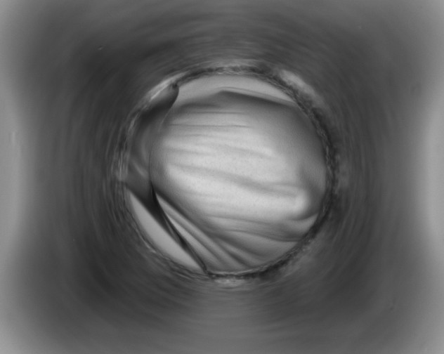 X0000083571169200703091631