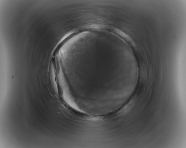 X0000083571170200703091631