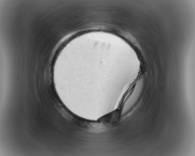 X0000083571172200703091631
