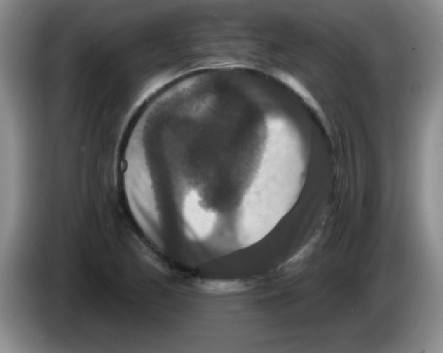 X0000083571173200703091631