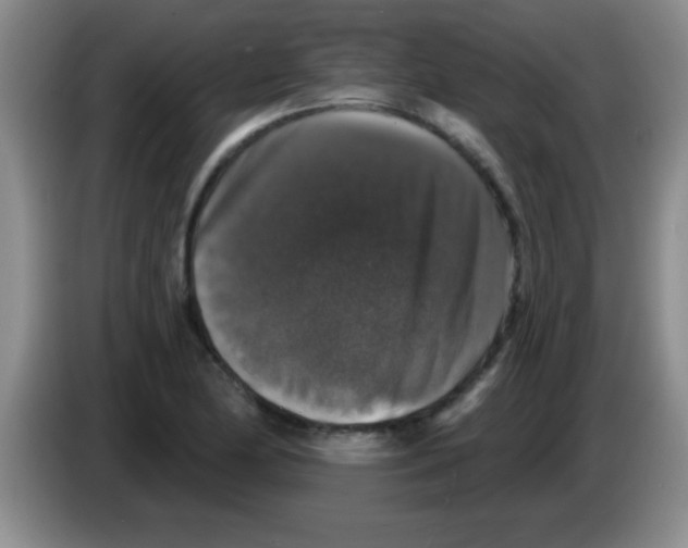 X0000083571174200703091631