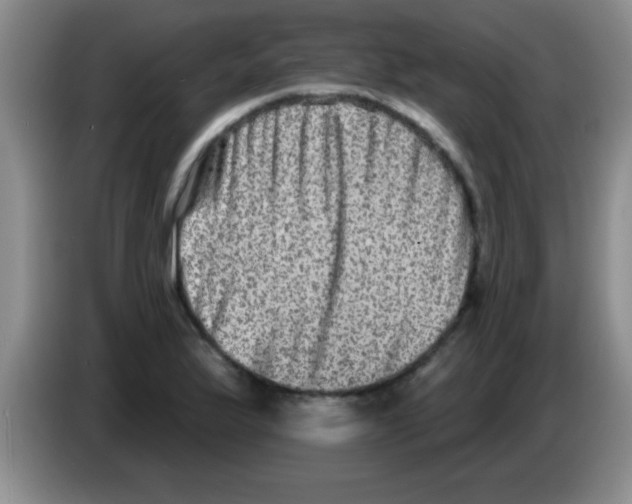 X0000083571175200703091631