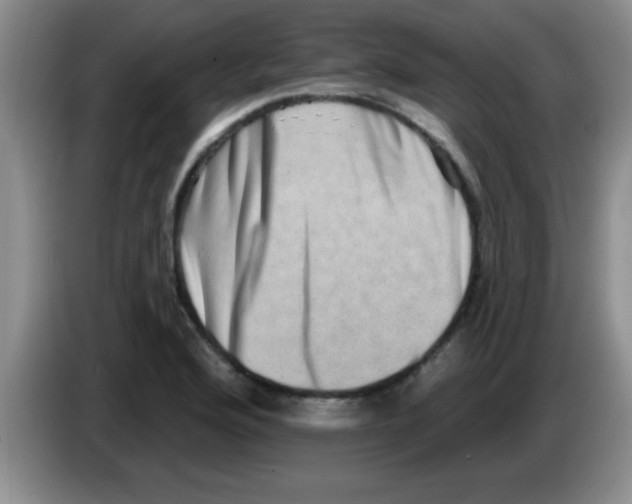 X0000083571176200703091631