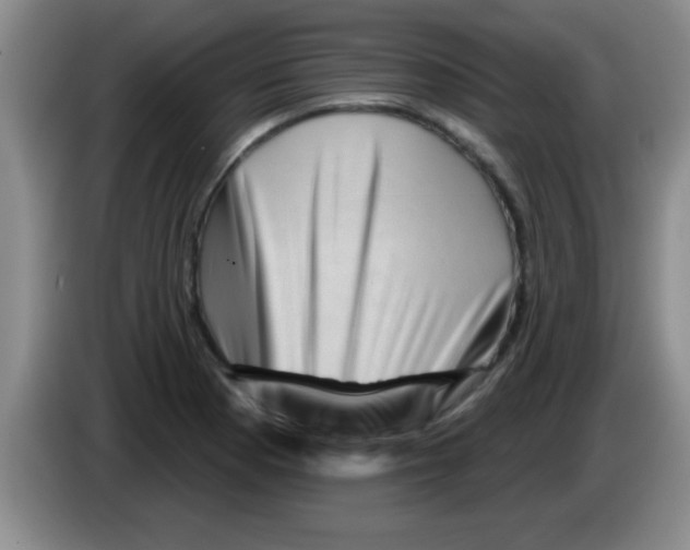 X0000083571177200703091631