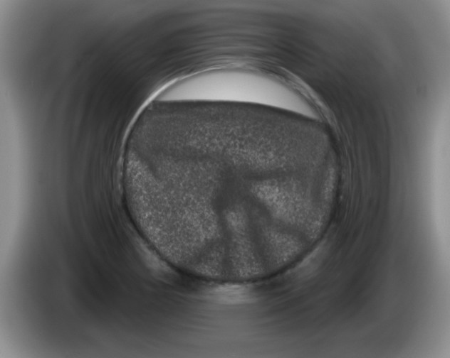 X0000083571178200703091631
