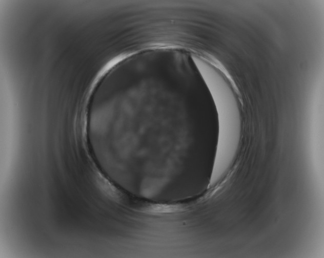 X0000083571179200703091631