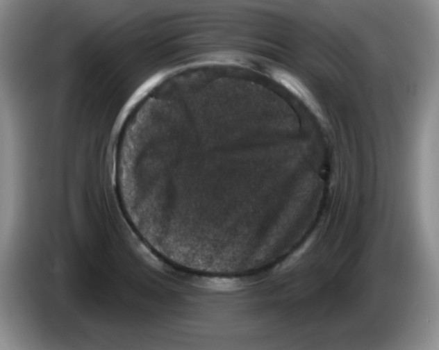 X0000083571180200703091631