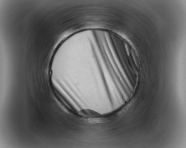 X0000083571181200703091631
