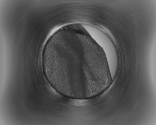 X0000083571184200703091631