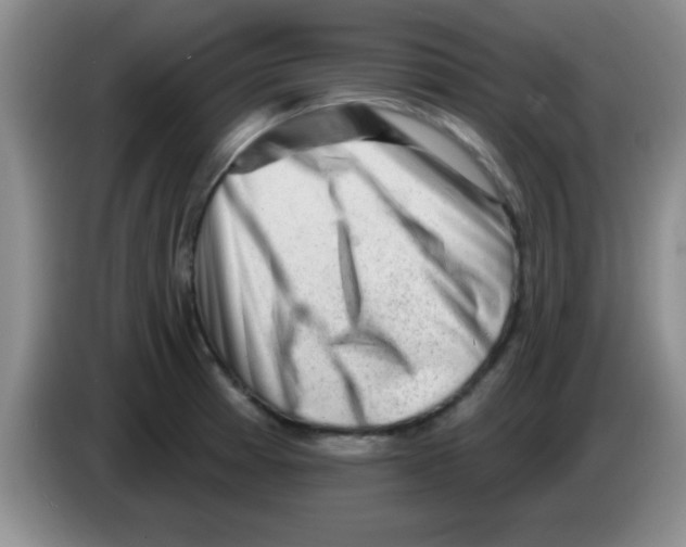 X0000083571185200703091631