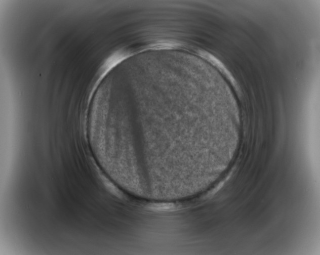 X0000083571186200703091631