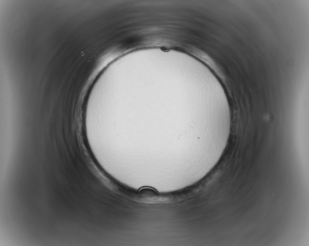 X0000083571187200703091631