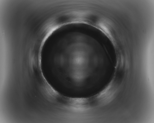 X0000083571188200703091631