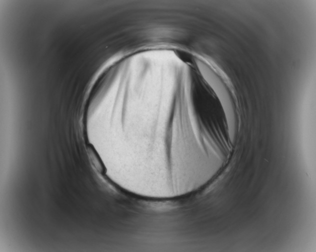 X0000083571189200703091631