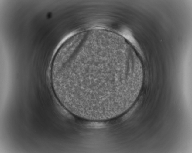 X0000083571190200703091631