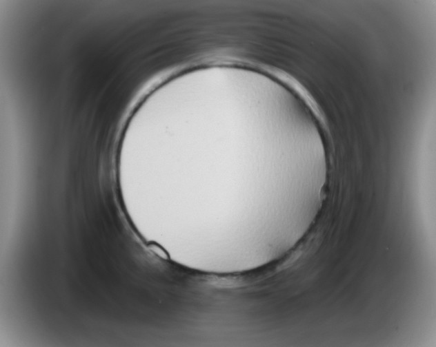 X0000083571191200703091631