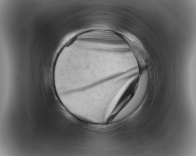 X0000083571192200703091631