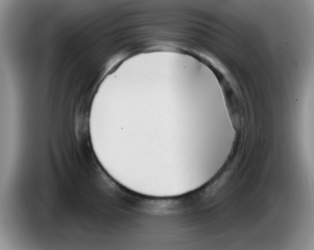 X0000083571193200703091631