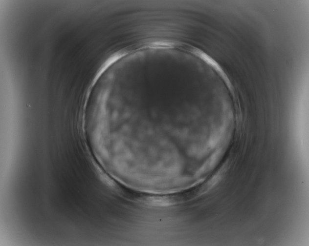 X0000083571194200703091631