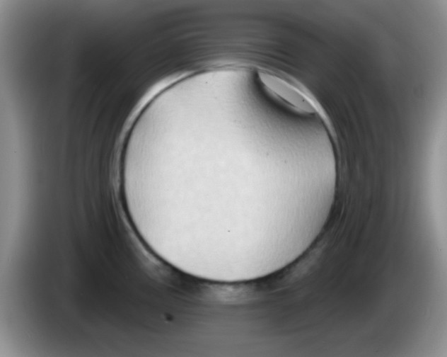 X0000083571195200703091631