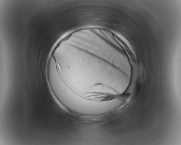 X0000083571197200703091631