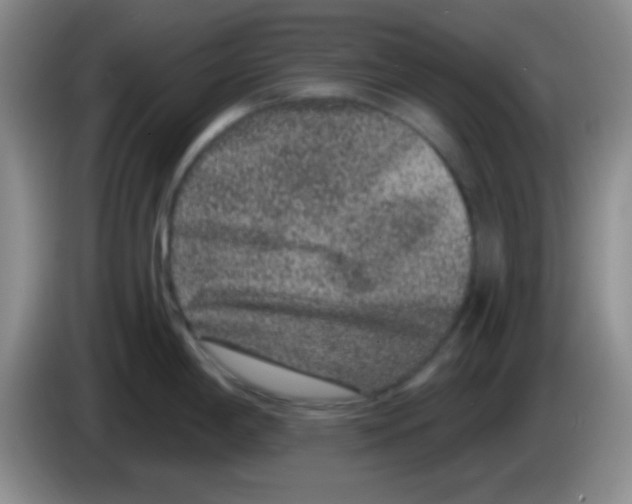 X0000083571198200703091631