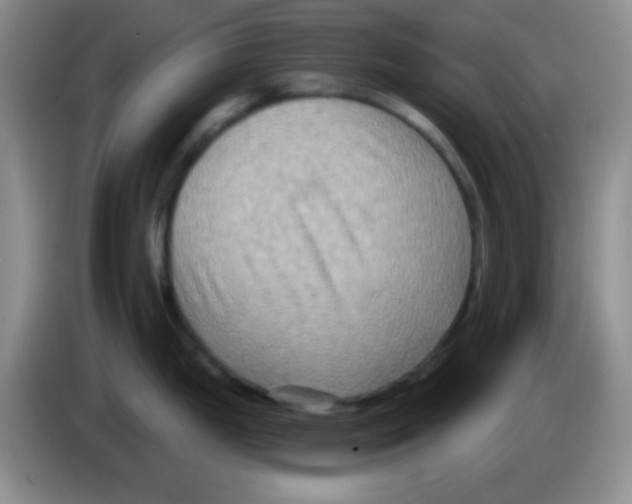 X0000083571199200703091631