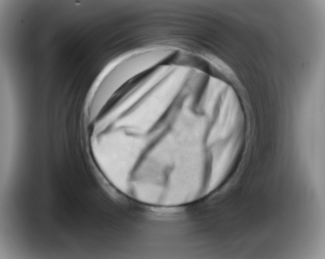 X0000083571200200703091631