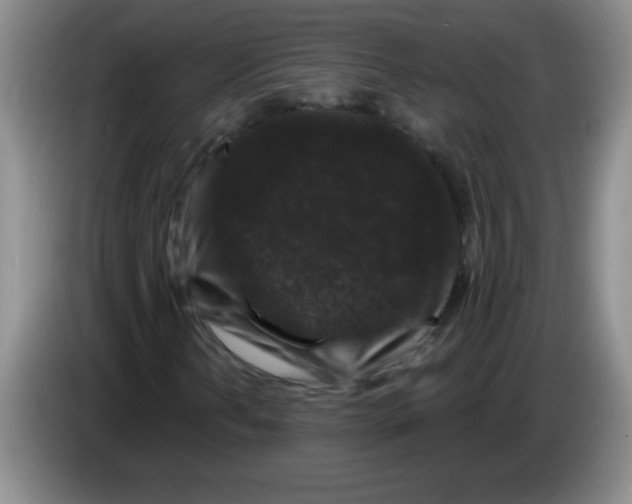 X0000083571202200703091630