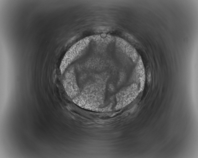 X0000083571204200703091630